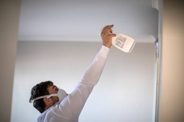 Best Office Mold Removal Services  in Wallenuck Lake Estates, PA