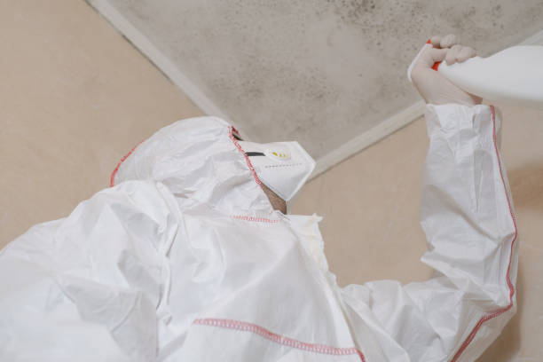 Best Toxic Mold Removal  in Wallenuck Lake Estates, PA