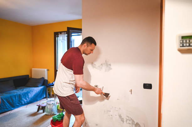 Professional Mold Removal in Wallenpaupack Lake Estates, PA